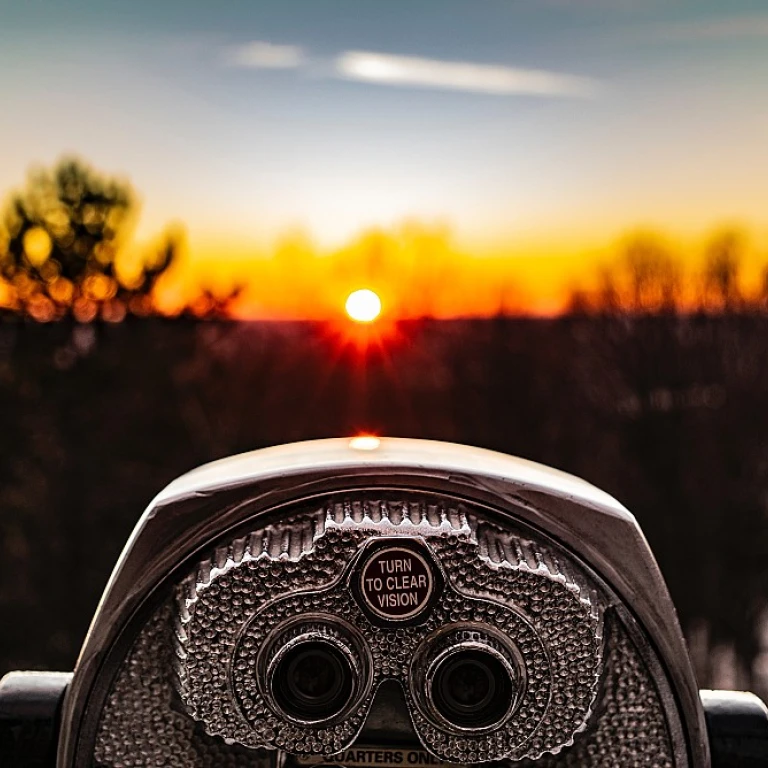 How Followers Leverage Vision in Corporate Culture