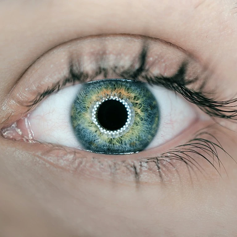 Achieving Success Through Effective Performance Goals