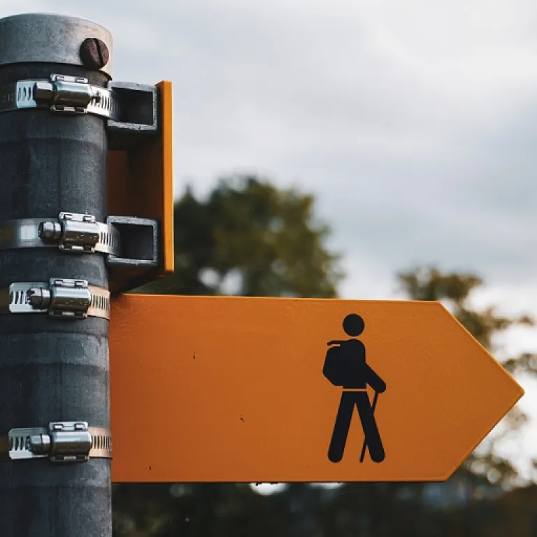 Understanding the Roles: Executive Director vs Director