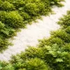 Global engagement falls to 20%: what Gallup's 2026 data demands from CHROs