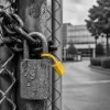 How rigorous background verification methods reshape corporate culture and trust