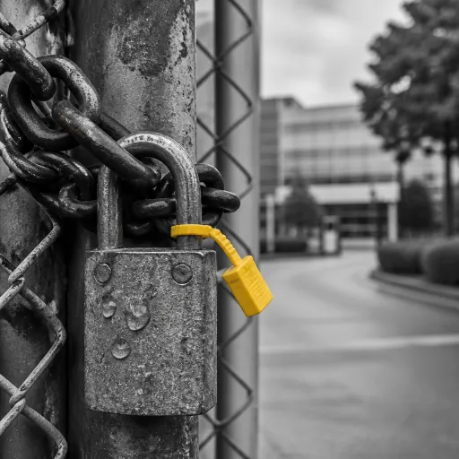 How rigorous background verification methods reshape corporate culture and trust
